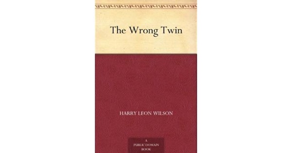Read The Wrong Twin online