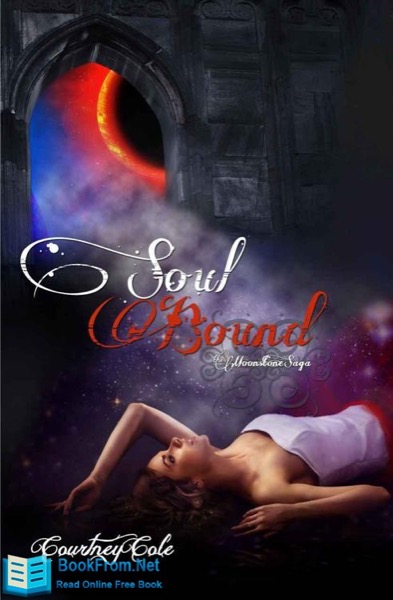 Read Soul Bound online