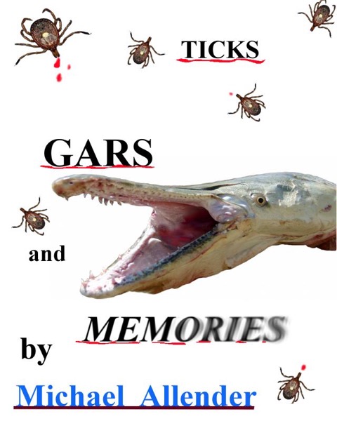 Read Ticks Gars and Memories online