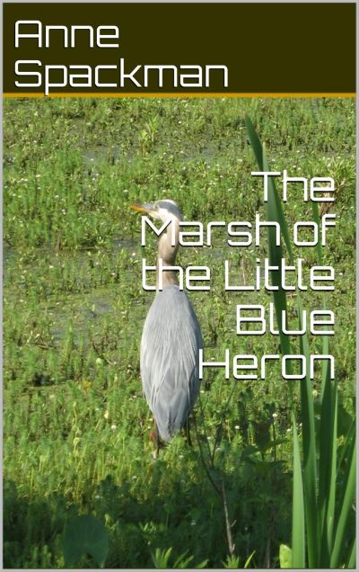 Read The Marsh of the Little Blue Heron online