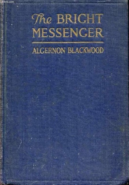 Read The Bright Messenger online