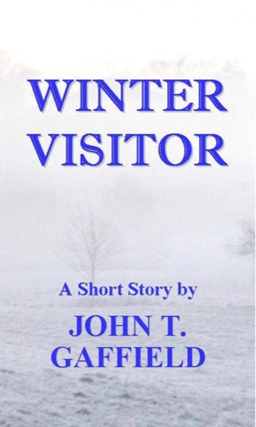 Read Winter Visitor online