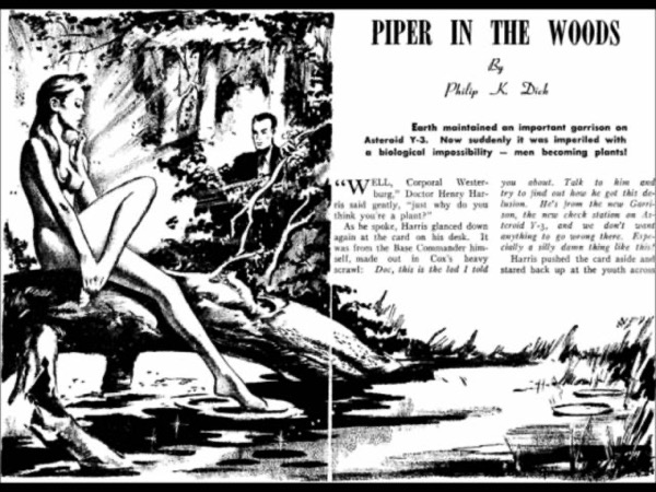 Read Piper in the Woods online