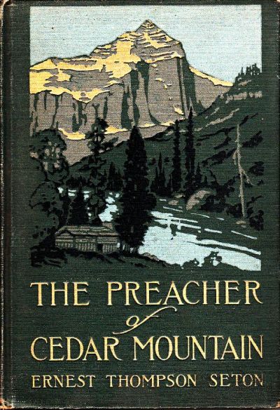Read The Preacher of Cedar Mountain: A Tale of the Open Country online