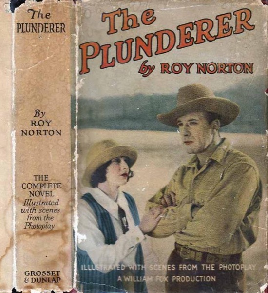Read The Plunderer online