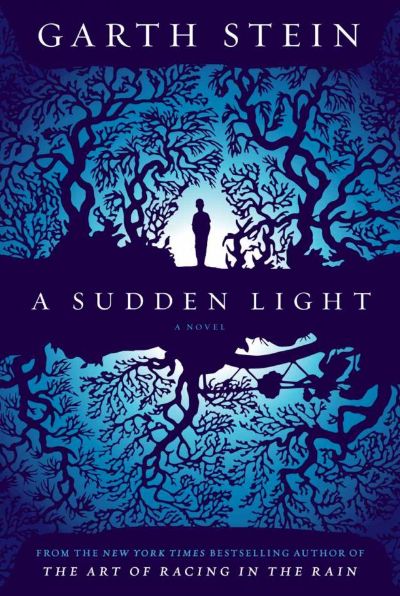 Read A Sudden Light online