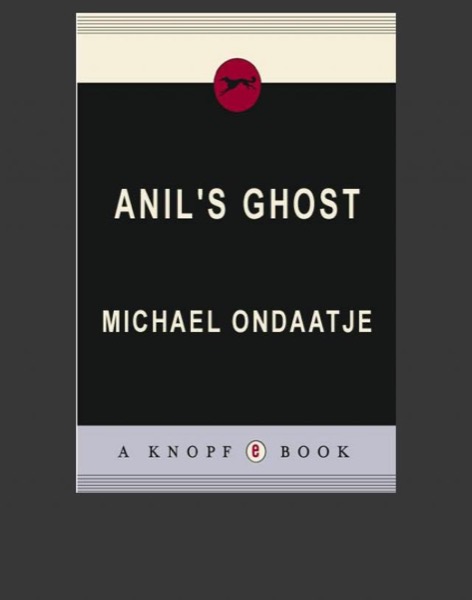 Read Anil's Ghost online