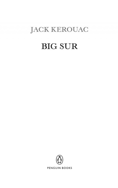 Read Big Sur online