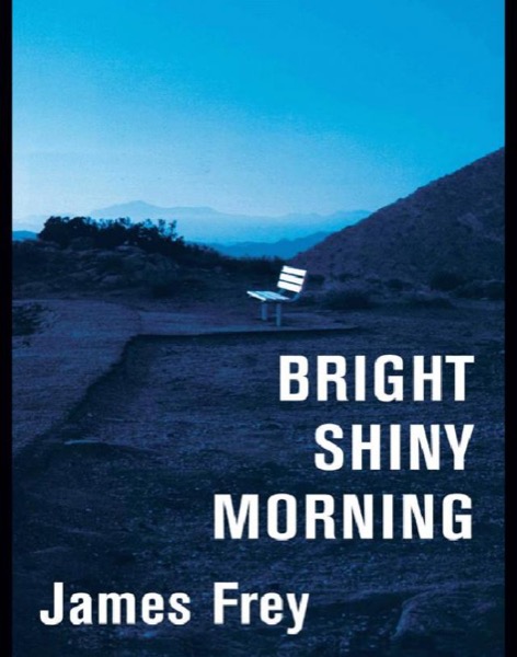 Read Bright Shiny Morning online