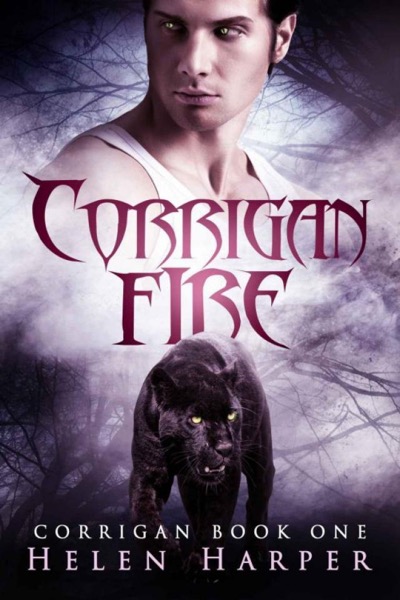 Read Corrigan Fire online