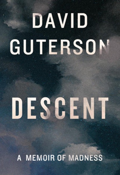 Read Descent: A Memoir of Madness online