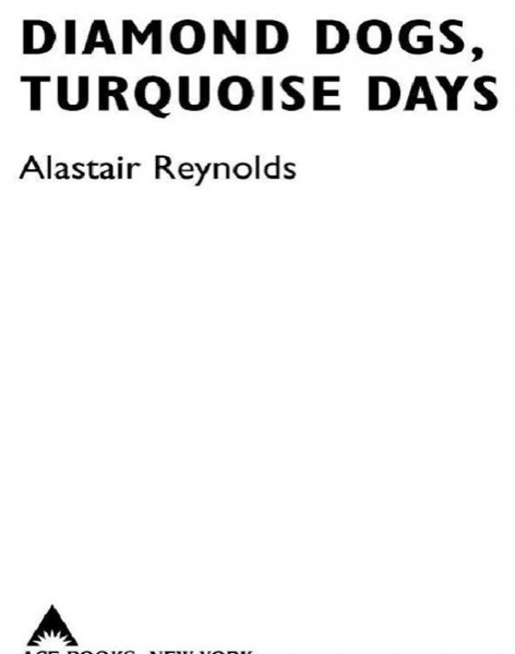 Read Diamond Dogs, Turquoise Days online