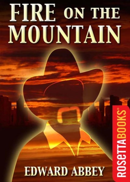 Read Fire on the Mountain online