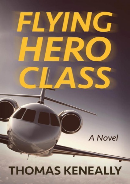 Read Flying Hero Class online