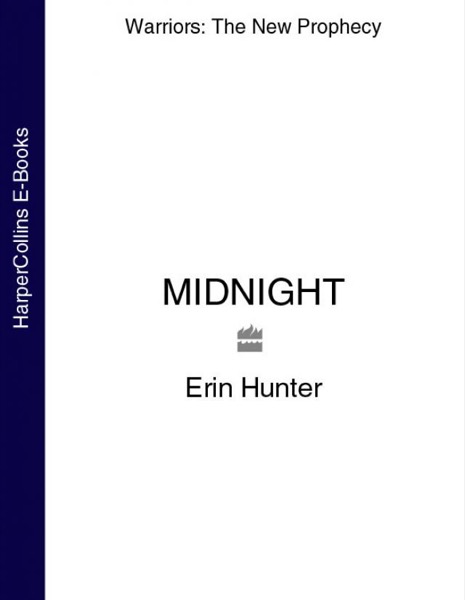 Read Midnight online