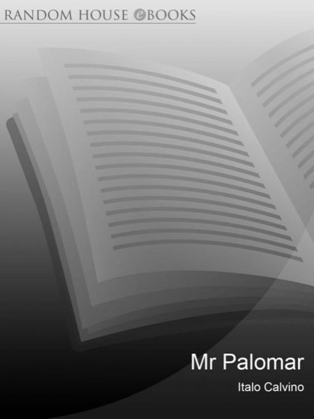 Read Mr Palomar online