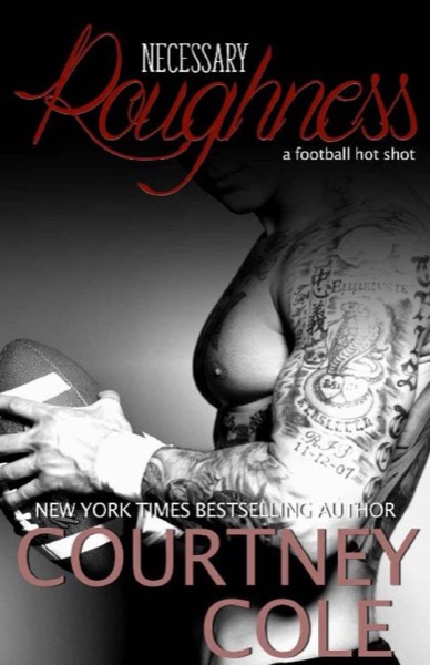 Read Necessary Roughness online