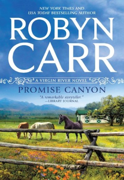 Read Promise Canyon online