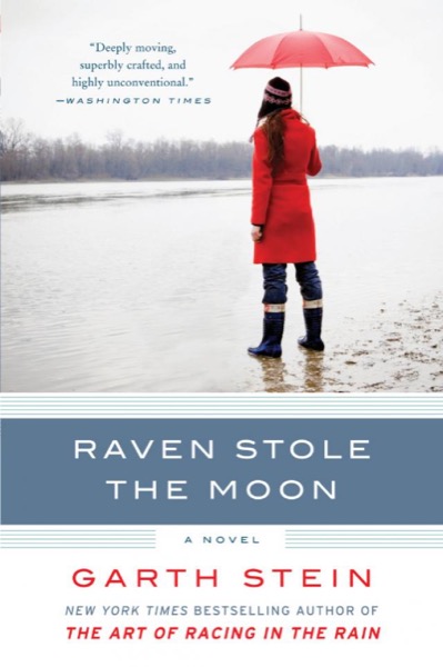 Read Raven Stole the Moon online