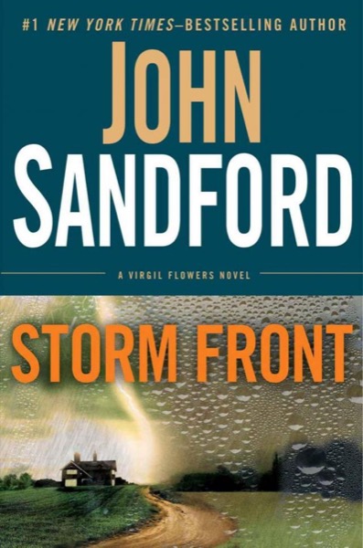 Read Storm Front online