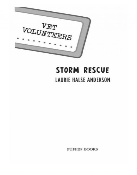 Read Storm Rescue online