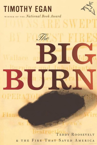 Read The Big Burn: Teddy Roosevelt and the Fire That Saved America online