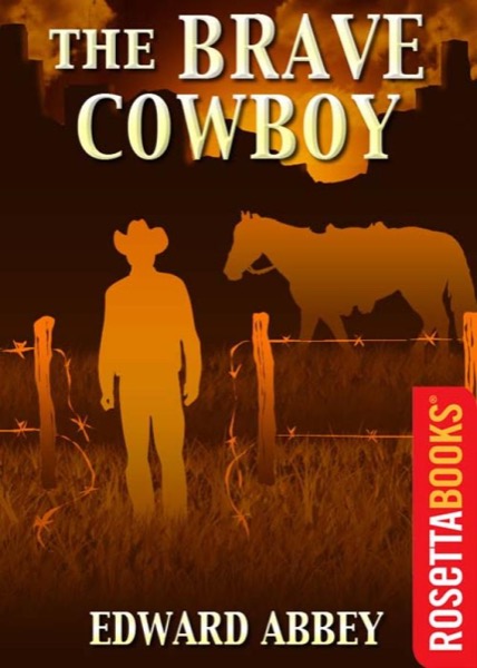 Read The Brave Cowboy online