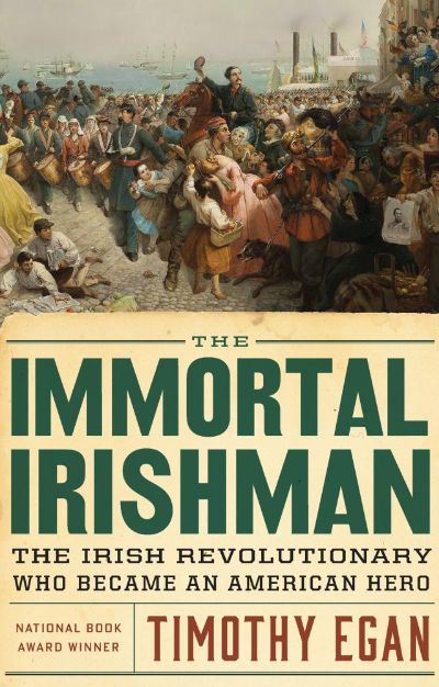 Read The Immortal Irishman online