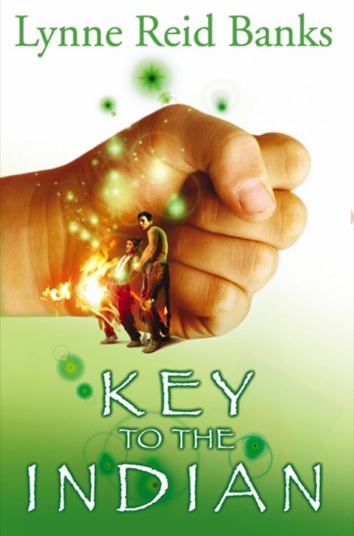 Read The Key to the Indian online