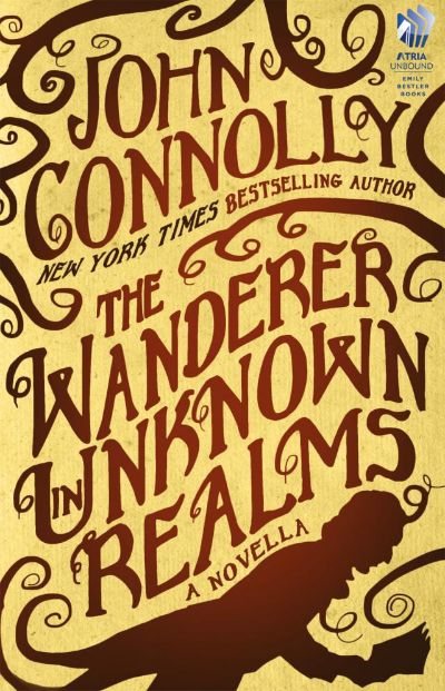 Read The Wanderer in Unknown Realms online