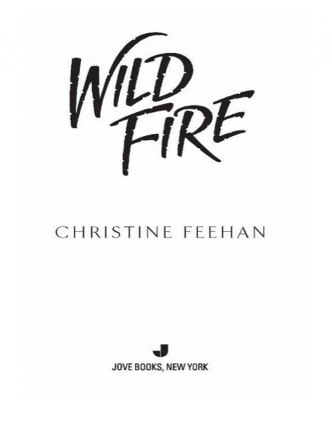 Read Wild Fire online